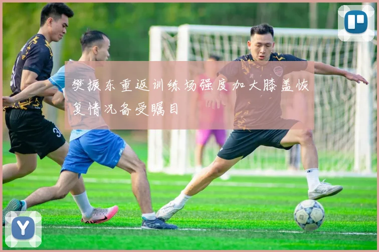 樊振东重返训练场强度加大膝盖恢复情况备受瞩目